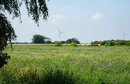 Ferienhaus Achtern Diek - Foto 20