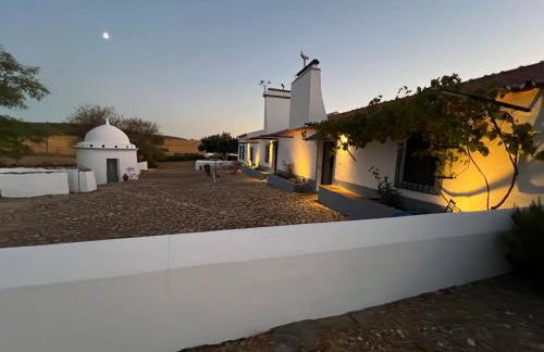 Monte do Pombal - Foto 26