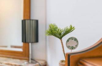 Le Montrachet - Foto 17