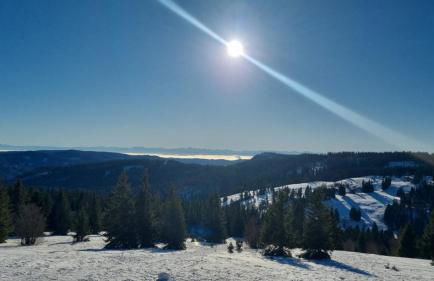 Waldgeflüster 2-Zi-DesignOase mit Terrasse und Tiefgarage im Neubau - Foto 40