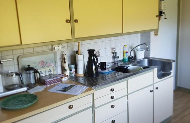 Elvestua House in Nature - Foto 41