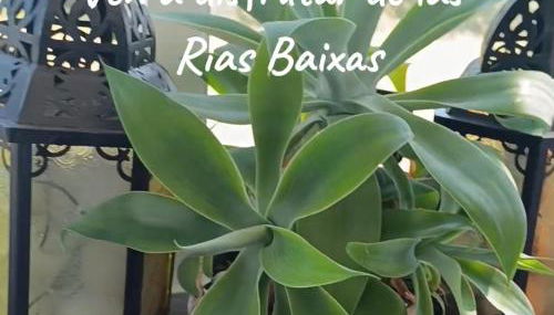 Sol, mar y naturaleza - Foto 2