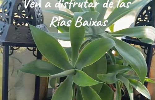 Sol, mar y naturaleza - Foto 2