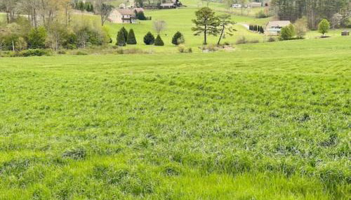 Jacuzzi, Fireplace, Nature, Views, Peaceful, Patio - Foto 5