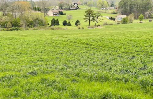 Jacuzzi, Fireplace, Nature, Views, Peaceful, Patio - Foto 5