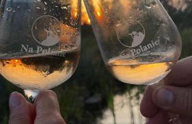 Apartamenty i Winnica - Siedlisko Na Polanie - Foto 77