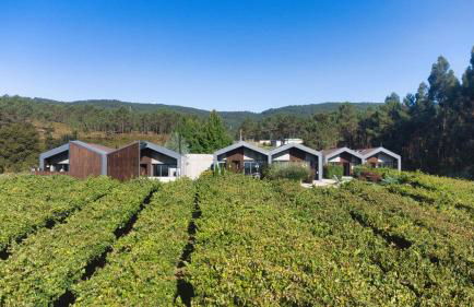 Alto da Pousa - Photo 53