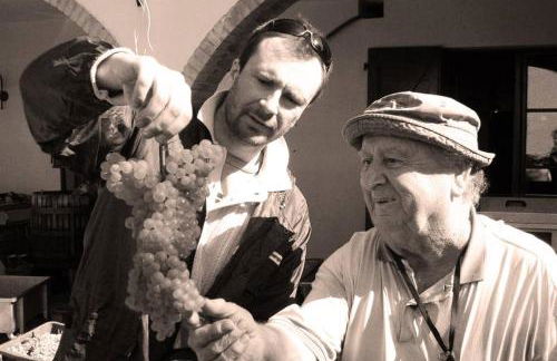 wine apartment le sedici - Foto 13