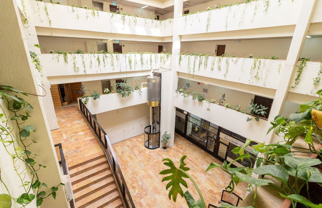 King David Court - Isrentals - Photo 65