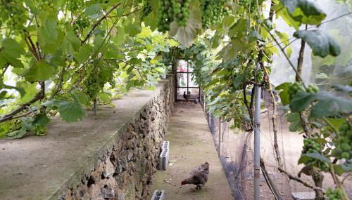 Casa das Rosas - Photo 3