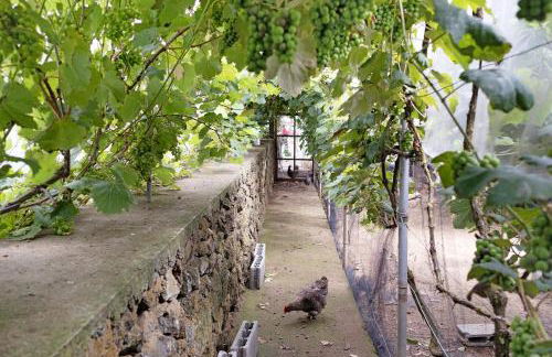 Casa das Rosas - Photo 3