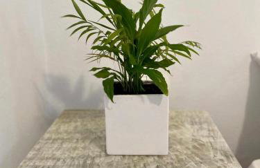 San Constantine - Foto 11