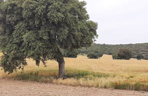 La Cachumba - Foto 35