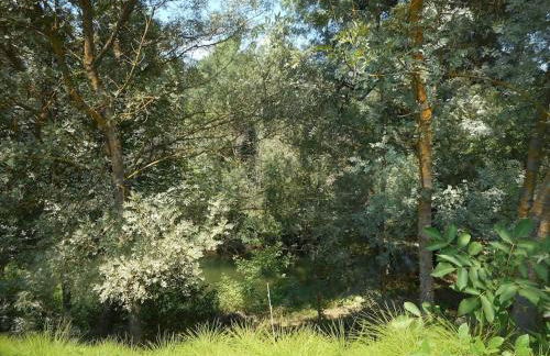 Maison en Provence La Cascatelle 6-8 pers - Foto 21