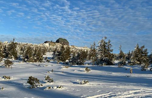 Apartament 209 Kras Resort Spa - Foto 13