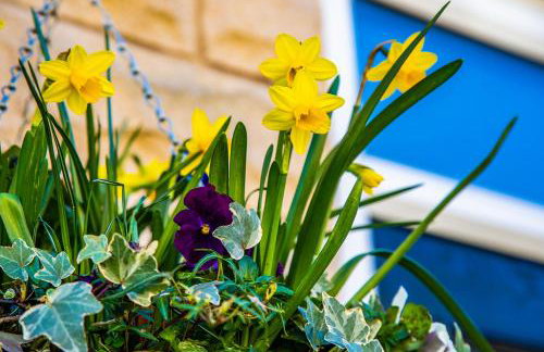 Buxton centre cosy cottage with free secure parking - Foto 27