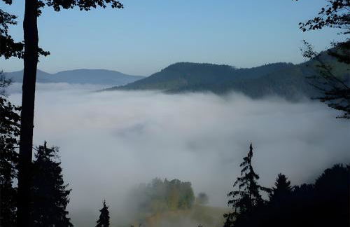 Haus Harter - Foto 18