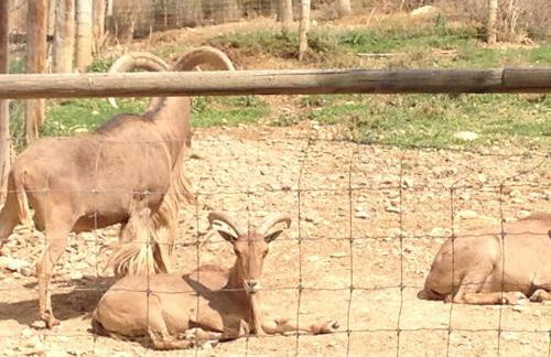 Apartamento Turistico Cigüeña de Arguedas - Foto 16