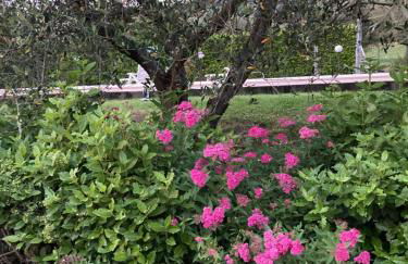 Le Coccole Del Trasimeno - Foto 20