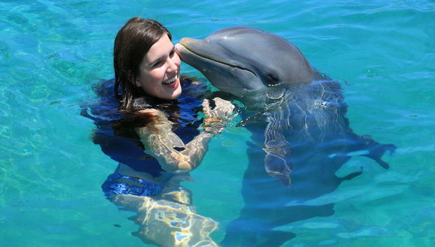 Dolphin Connection in Chankanaab Park - Photo 3