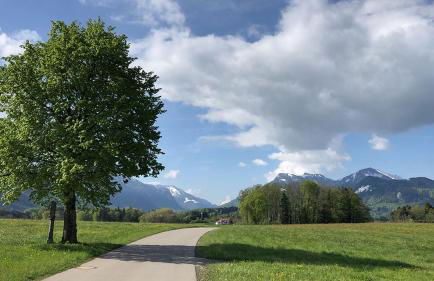 Ferienwohnung Florina - Foto 11