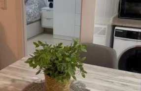 Apartamento nuevo con piscina y amplio balcon - Photo 11