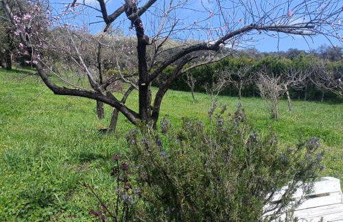 Finca del Abu - Foto 12