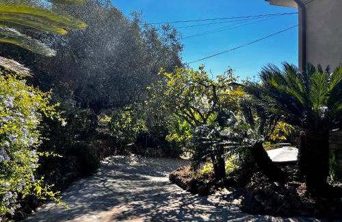 Il giardino delle Cycas - Foto 14