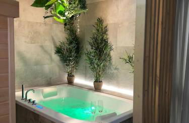 Spa - Sauna privatif plein centre - Photo 24