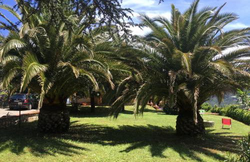 Villa Shanti Yoga & Meditation - Foto 30