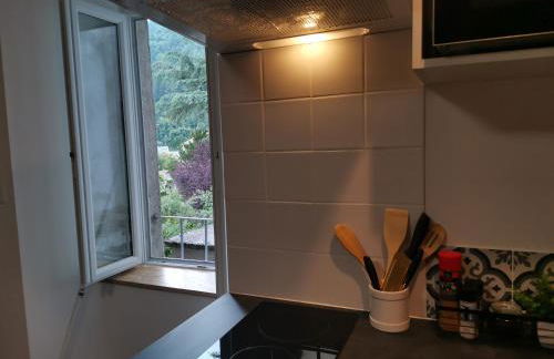 Duplex plein centre de Florac - Foto 33