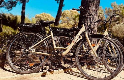 Les Maisons Du Sud - Foto 25