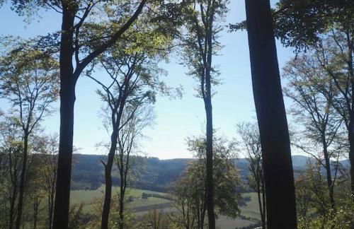 Gemütliche Wohnung Rothaarsteig Ski Sauna Ruhrtal Green Hill - Foto 16