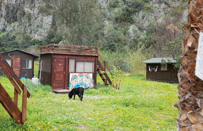 Kelebekler Vadisi Butterfly Valley - Foto 56