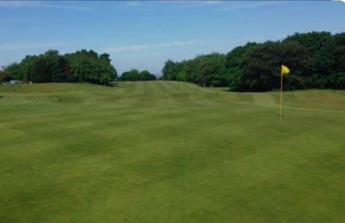 Mountain View - Foto 46