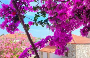 Mokamvilia House - Foto 10