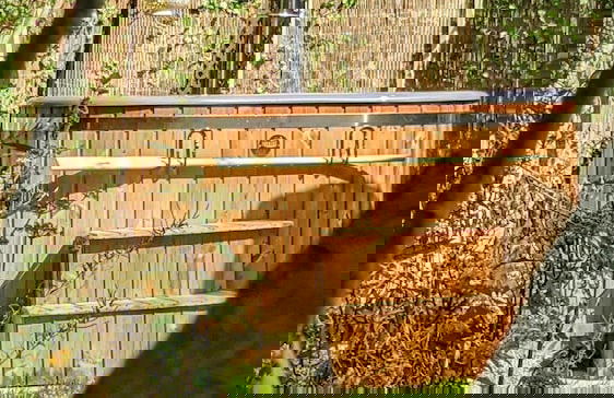 Emlyn's Coppice - Woodland Glamping - Foto 3