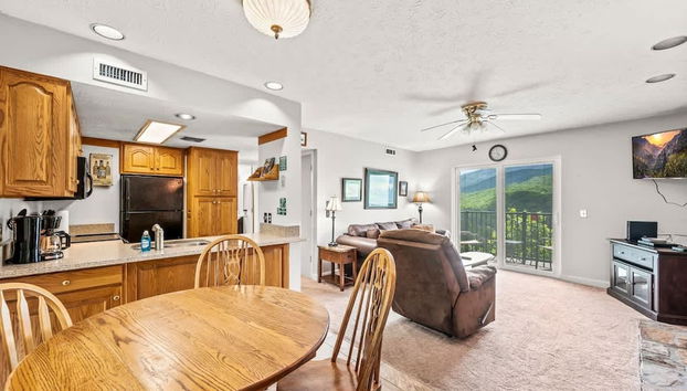 Sauna Mountain Views Indoor Pool Sleeps 4 - Foto 2, Habitación