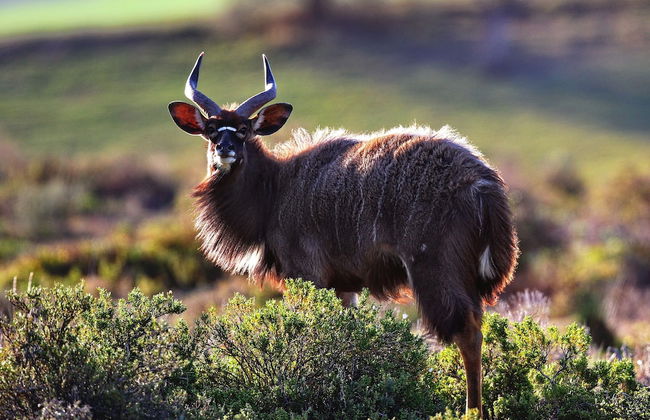 Berluda Farmhouse & Cottages - Photo 47