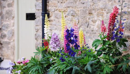 The Granary at Little Howle Farm - Foto 2, Garden view