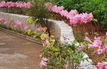 Villa nel Salento - Ampie camere e giardino, fino a 10 persone - Foto 11