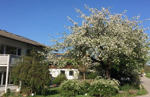 Haus Irmgard - Foto 9