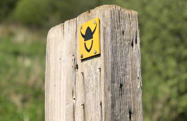 The Vikings Retreat - Foto 16