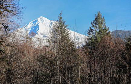Clear Creek Cabin - Meredith Lodging - Foto 47