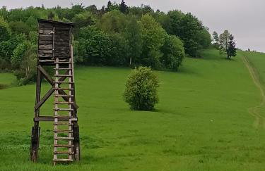 Dębowy Zakątek - Foto 25