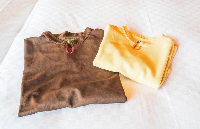 Naeba Prince Hotel - Photo 22