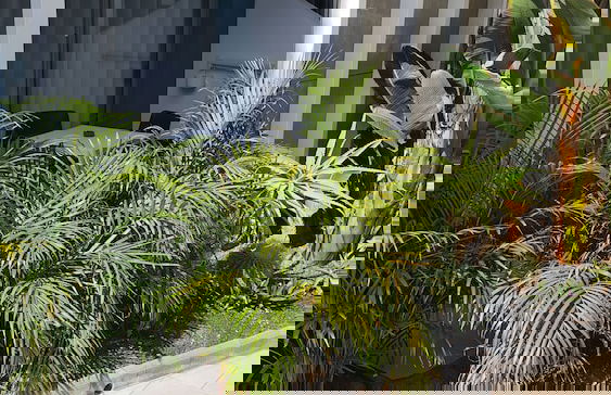 Luminoso Bilocale Vicino Al Mare - Photo 18