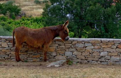 Pátio da Caetana - Foto 140