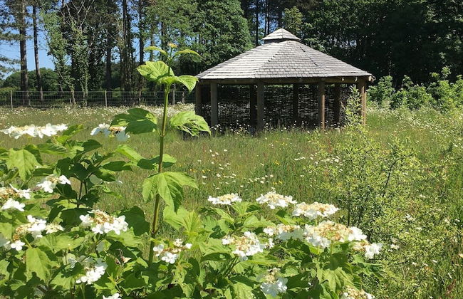 Hollicarrs - Wildflower Lodge - Foto 21