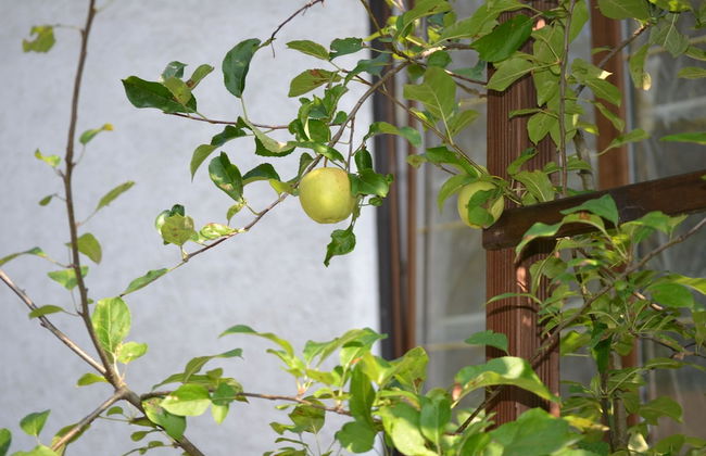 Ferienwohnung Romance - Foto 28